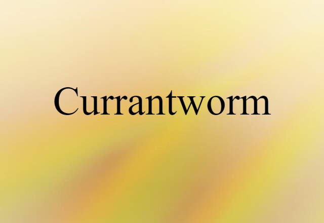 currantworm