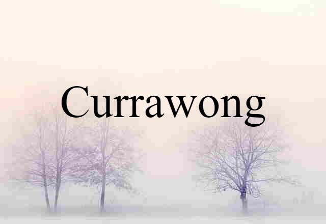 Currawong (noun) Definition, Meaning & Examples