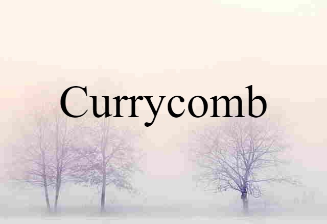 Currycomb (noun) Definition, Meaning & Examples