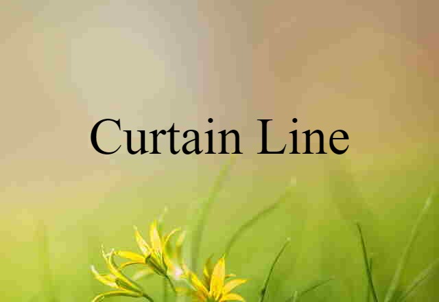 Curtain Line (noun) Definition, Meaning & Examples