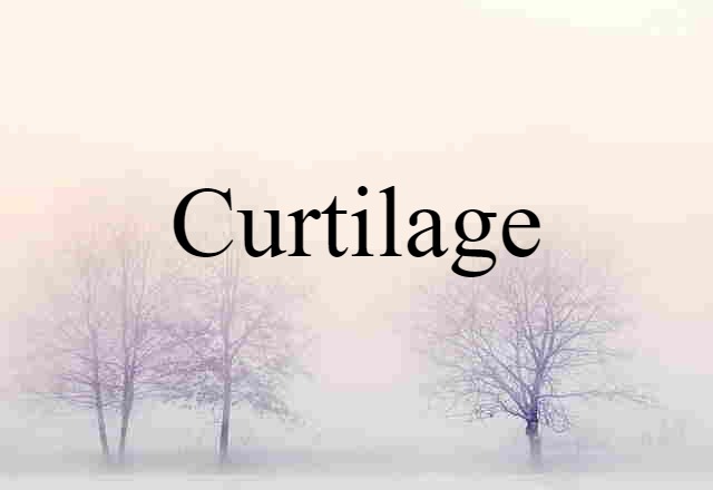 Curtilage (noun) Definition, Meaning & Examples