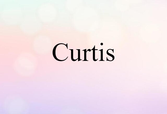 Curtis (noun) Definition, Meaning & Examples