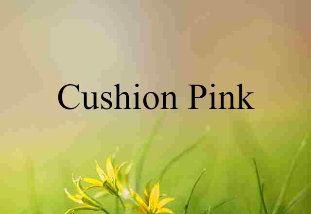 cushion pink