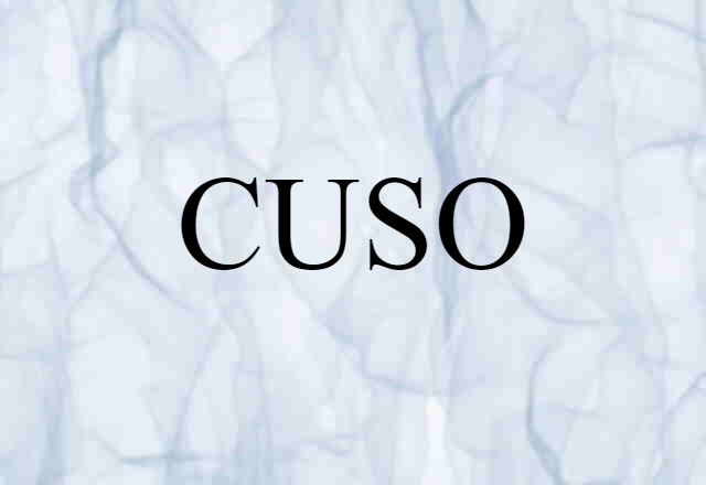 CUSO (noun) Definition, Meaning & Examples