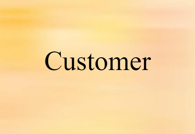 Customer (noun) Definition, Meaning & Examples