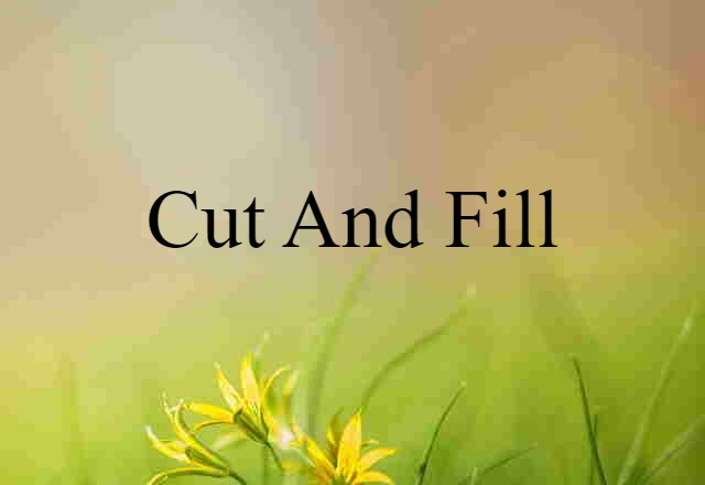 Cut And Fill (noun) Definition, Meaning & Examples