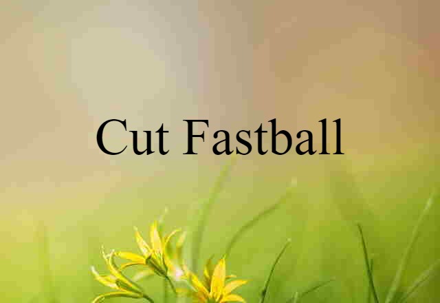 Cut Fastball (noun) Definition, Meaning & Examples