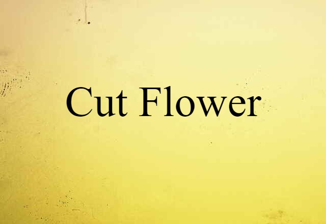 cut flower