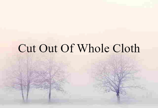 Cut Out Of Whole Cloth (noun) Definition, Meaning & Examples