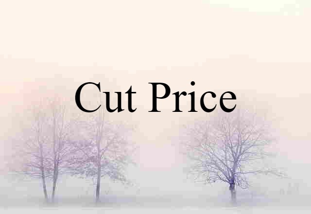 Cut-price (noun) Definition, Meaning & Examples