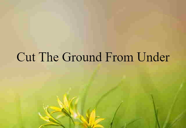 Cut The Ground From Under (noun) Definition, Meaning & Examples