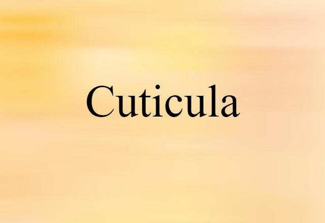 cuticula