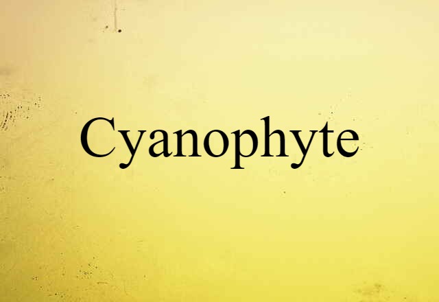 cyanophyte