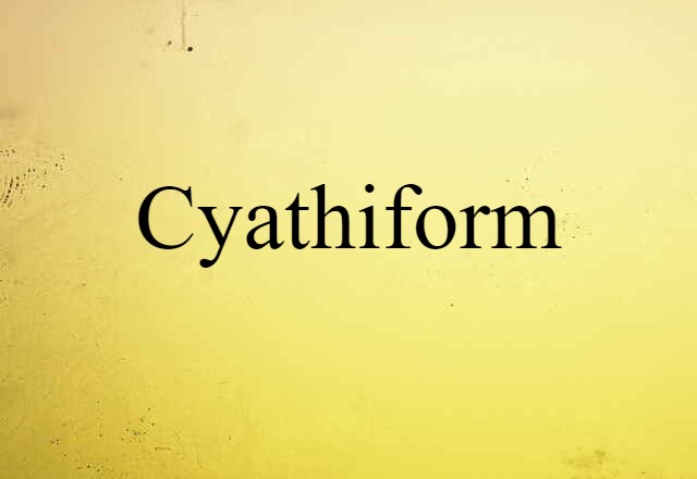 Cyathiform (noun) Definition, Meaning & Examples