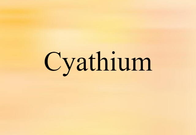 cyathium