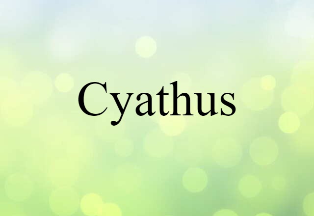 cyathus