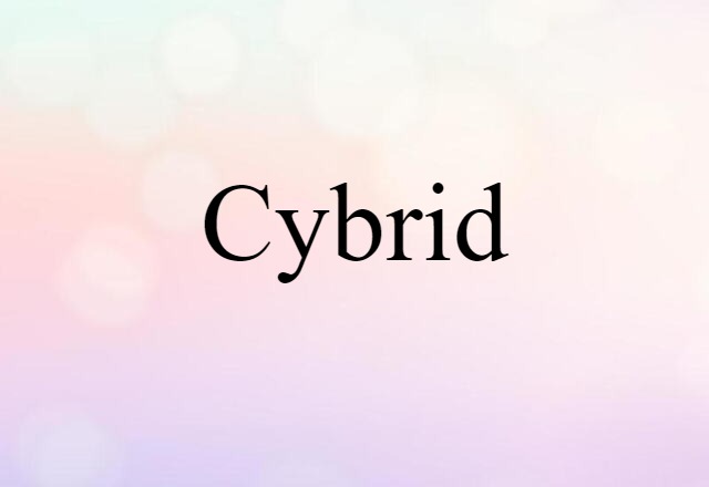 cybrid