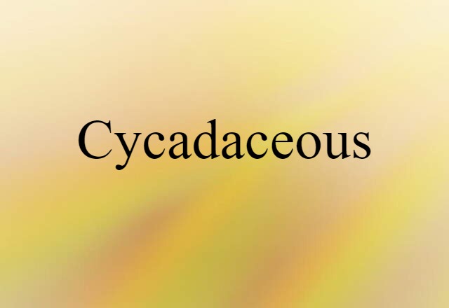 cycadaceous