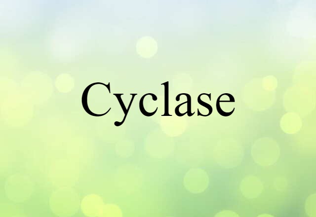 cyclase