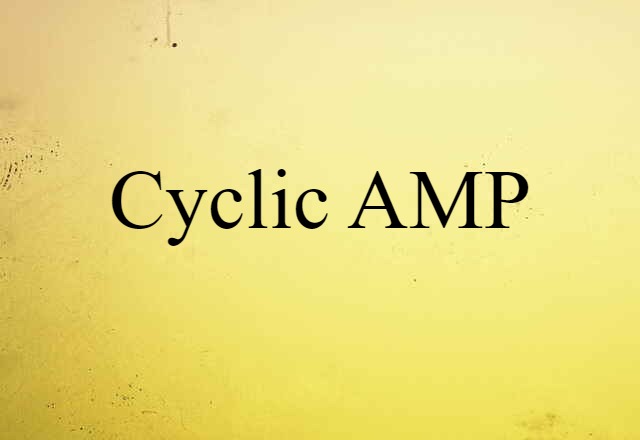 Cyclic AMP (noun) Definition, Meaning & Examples