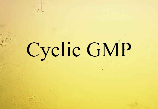 Cyclic GMP (noun) Definition, Meaning & Examples