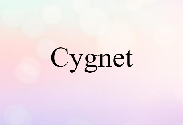 Cygnet (noun) Definition, Meaning & Examples