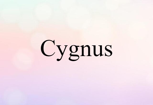 Cygnus (noun) Definition, Meaning & Examples