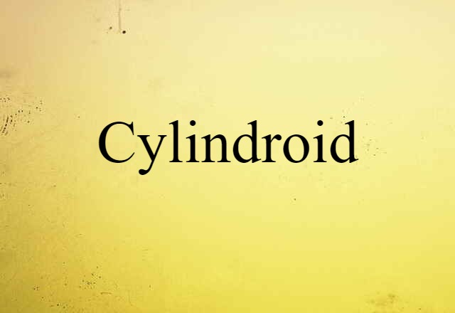 Cylindroid (noun) Definition, Meaning & Examples