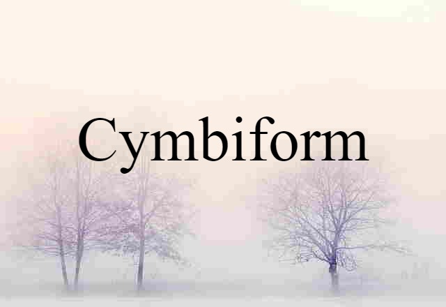 Cymbiform (noun) Definition, Meaning & Examples