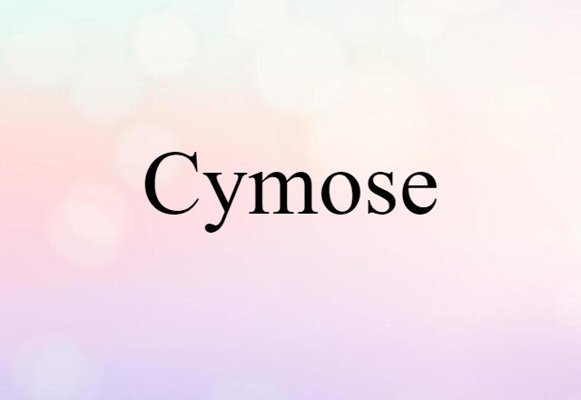 cymose