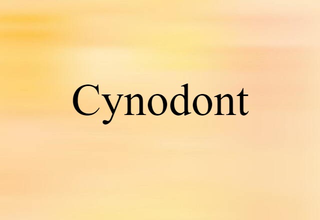 cynodont