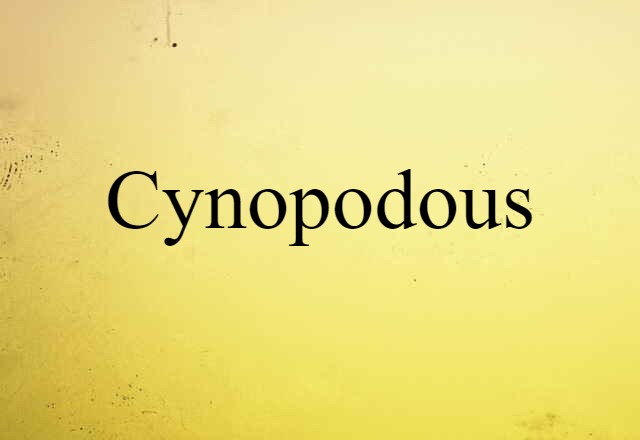 cynopodous