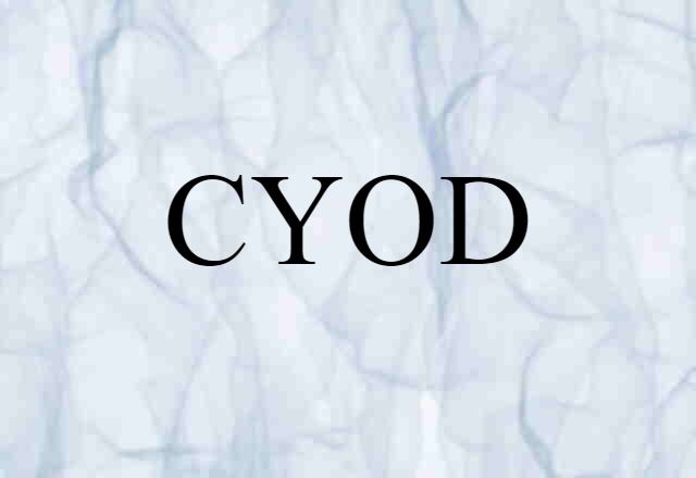 CYOD (noun) Definition, Meaning & Examples