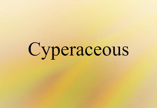 cyperaceous