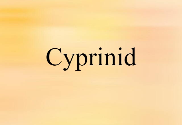 Cyprinid (noun) Definition, Meaning & Examples