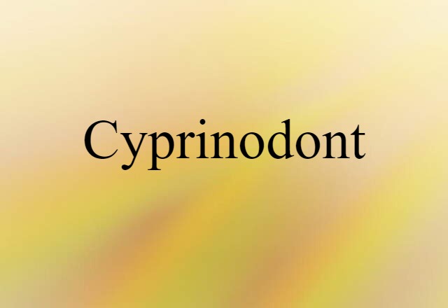 cyprinodont