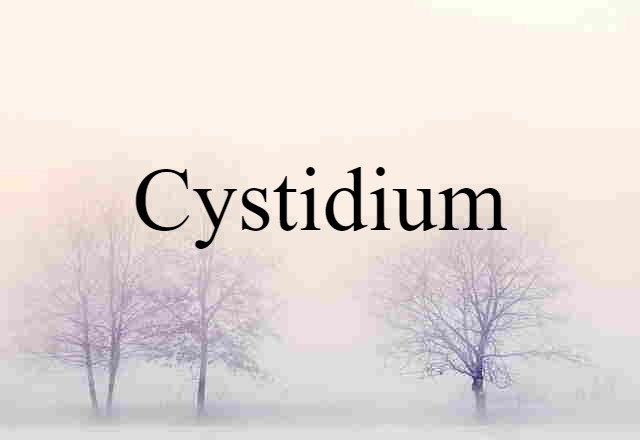 cystidium