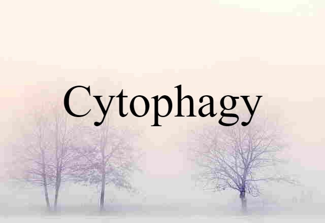 cytophagy