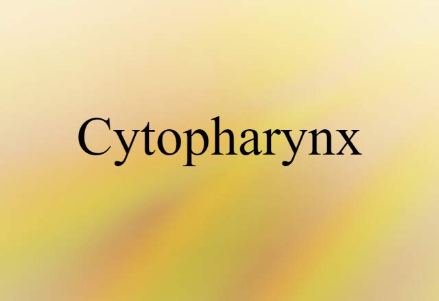 cytopharynx