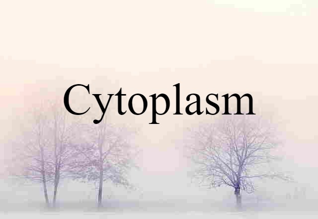 Cytoplasm (noun) Definition, Meaning & Examples