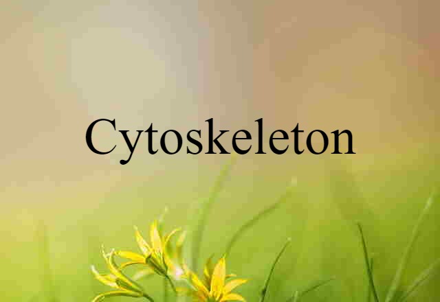 Cytoskeleton (noun) Definition, Meaning & Examples