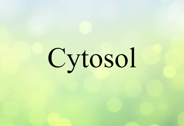 Cytosol (noun) Definition, Meaning & Examples