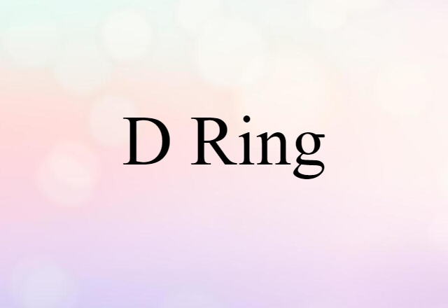 D Ring (noun) Definition, Meaning & Examples