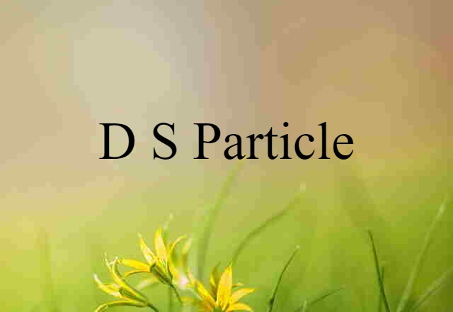 D-s particle