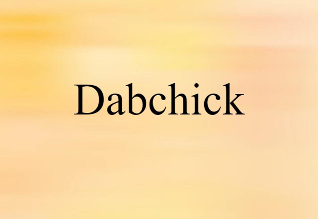 dabchick