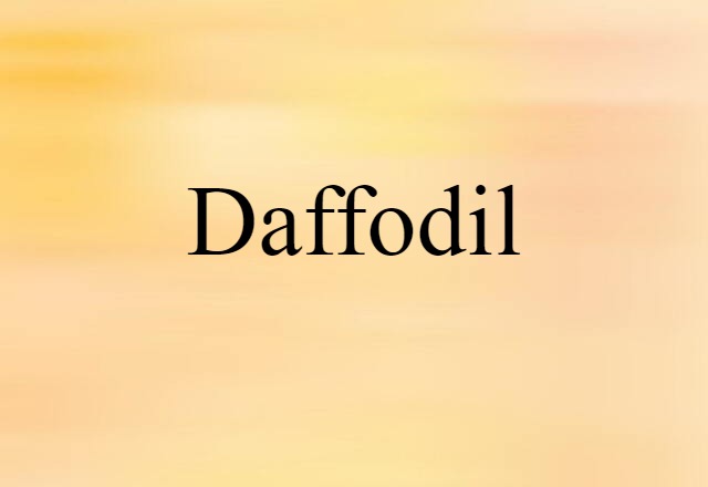 Daffodil (noun) Definition, Meaning & Examples