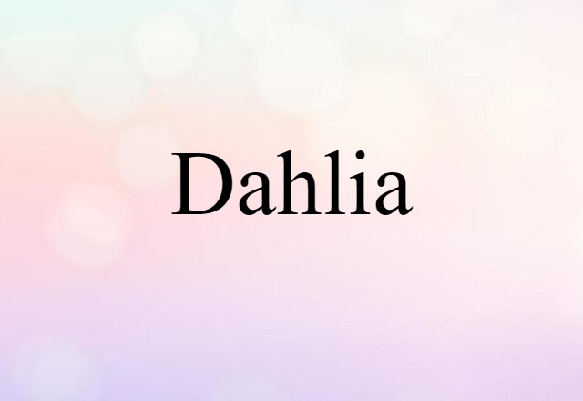 Dahlia (noun) Definition, Meaning & Examples