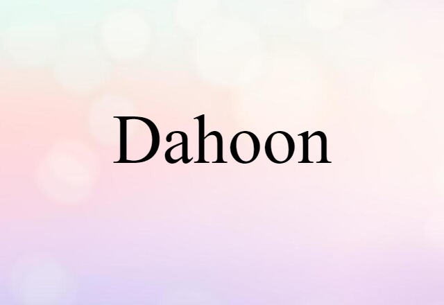 dahoon