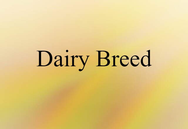 dairy breed