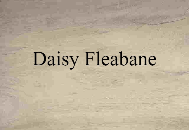 Daisy Fleabane (noun) Definition, Meaning & Examples